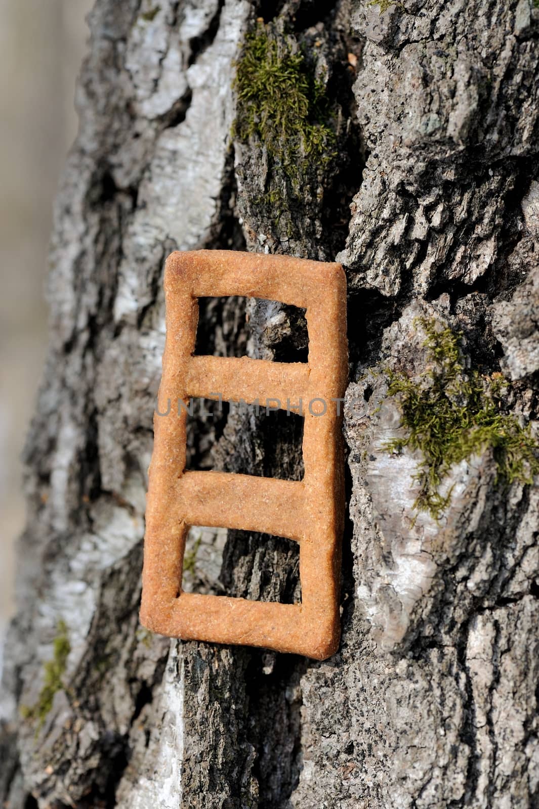Lestvitsa, Russian rye festive spring cookie on tree vertical