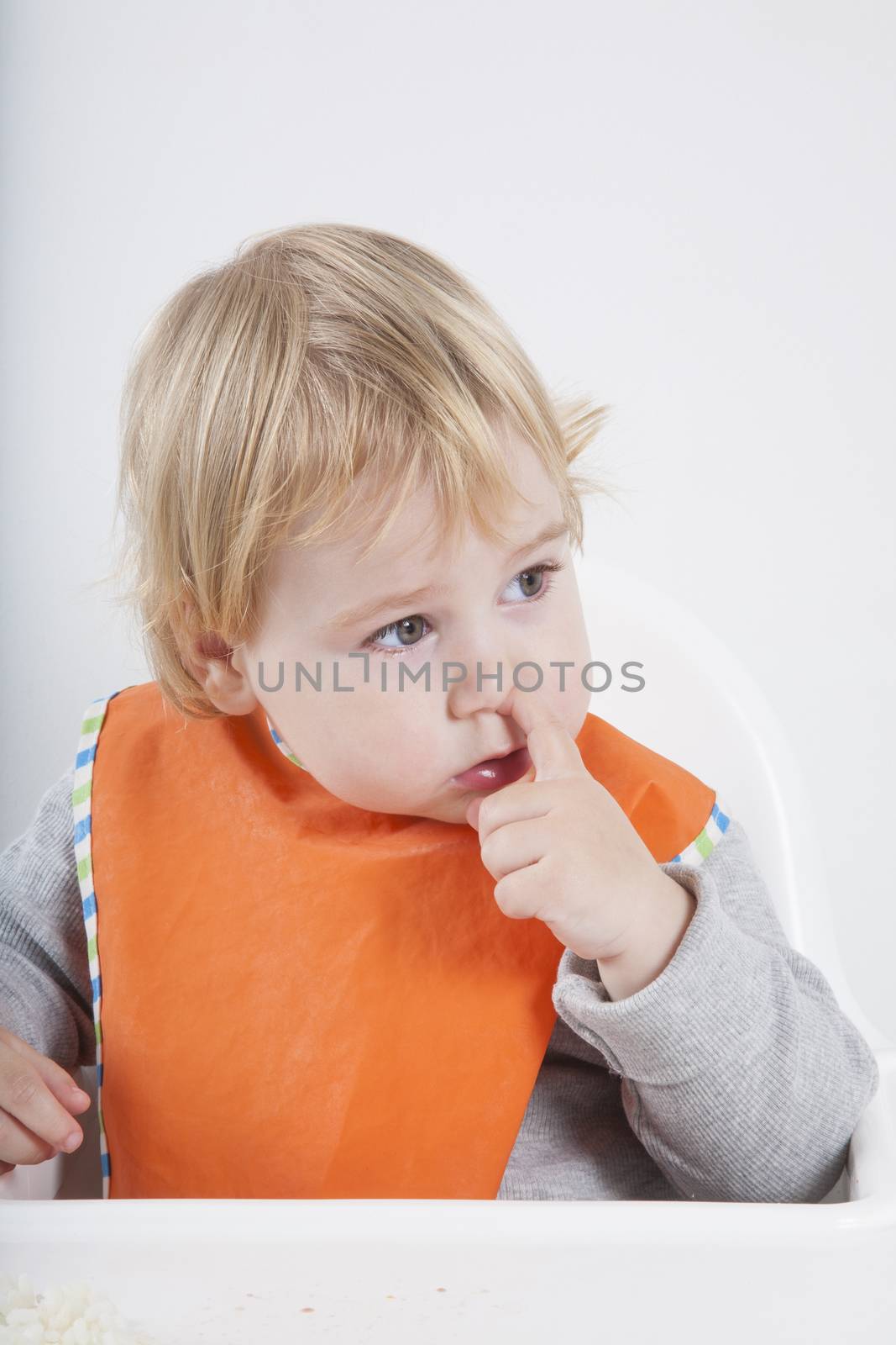 blonde caucasian baby seventeen month age orange bib grey sweater sitting on white high-chair eating with finger picking nose