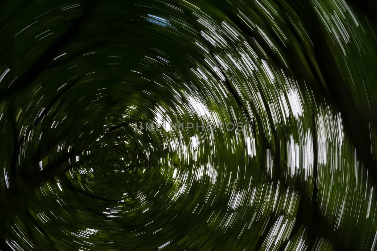 Spiral effect in forest by frankhoekzema