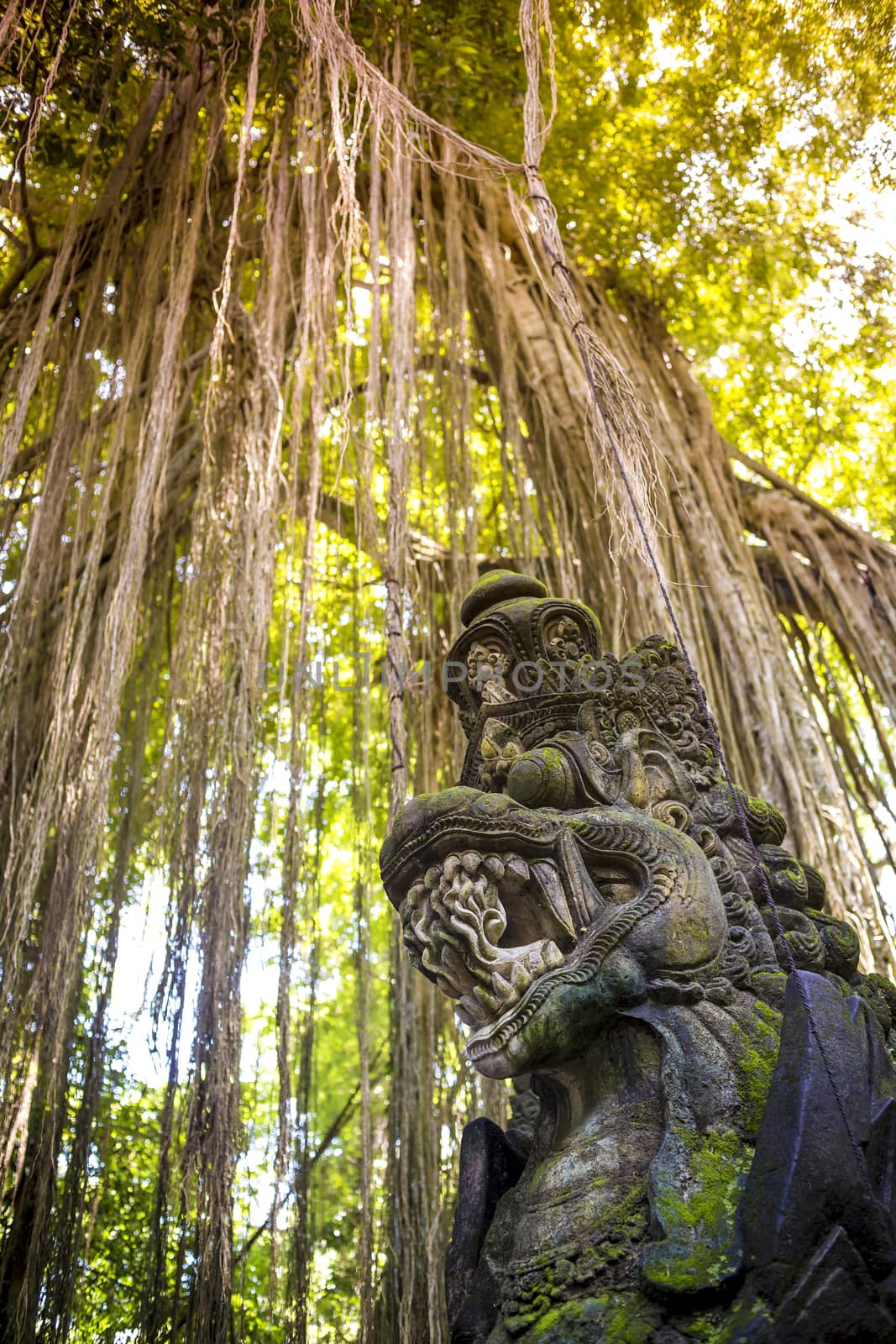 Dragon sculpture on the bridge in monkey forest, Ubud, Bali.