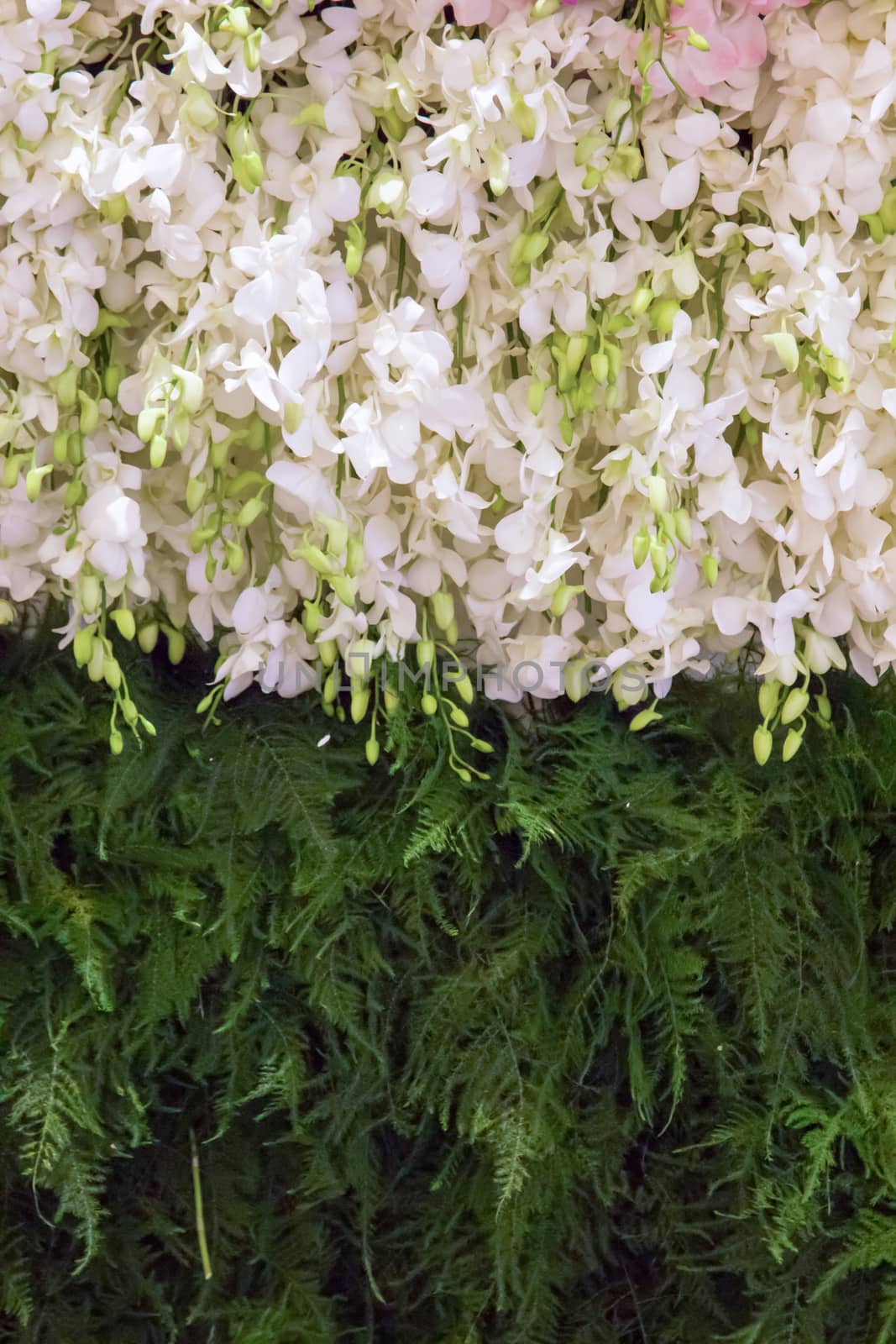 Flowers mixed in wedding scene by liewluck