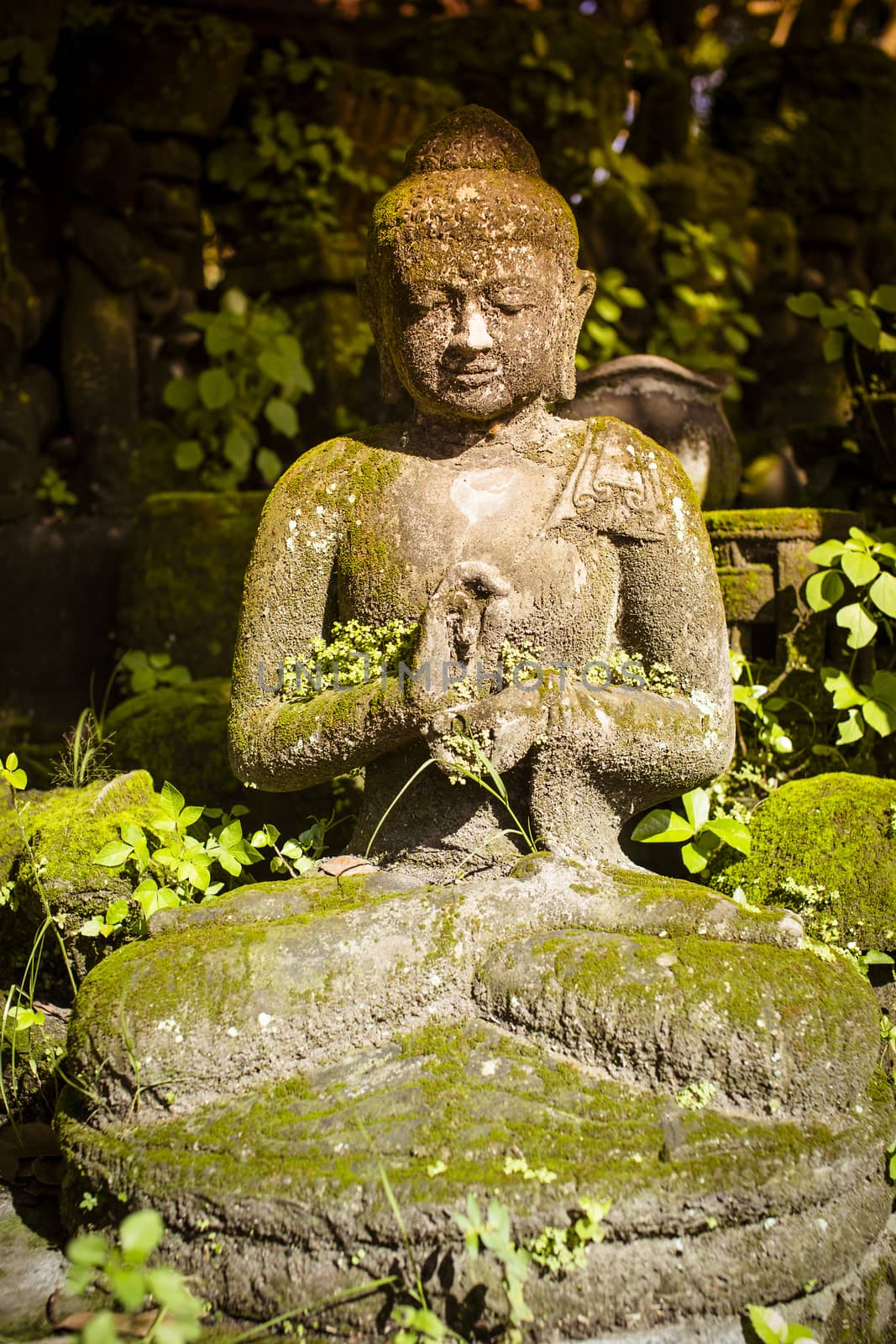 The old stone Buddha statue. Indonesia, Bali.
