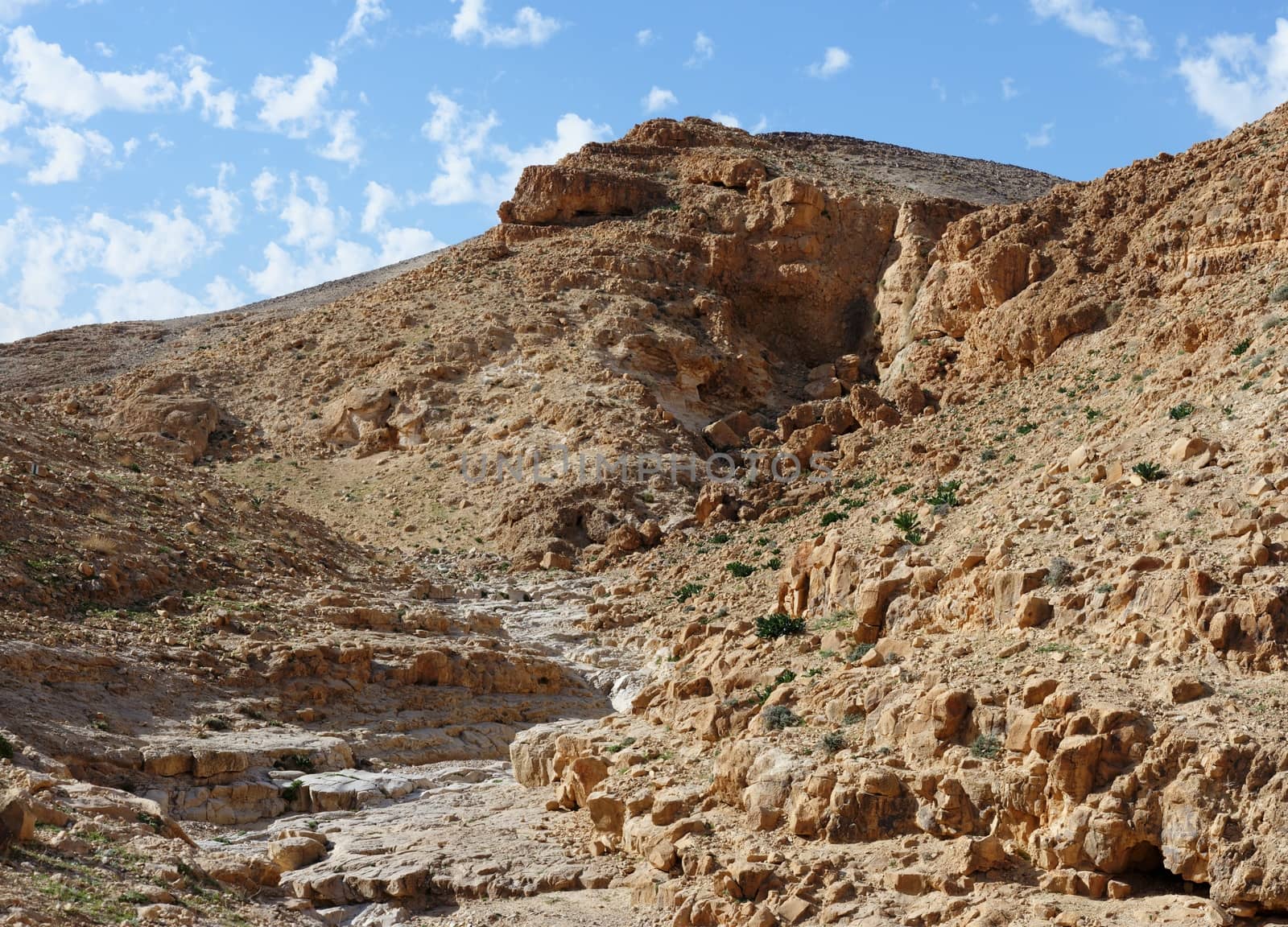 Desert canyon  Kidod Ceek near Arad in Negev, Israel
