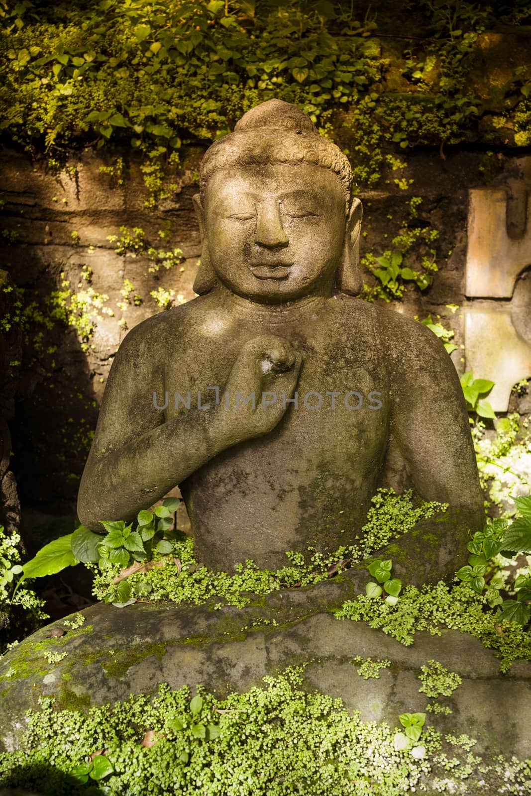 The old stone Buddha statue. Indonesia, Bali.
