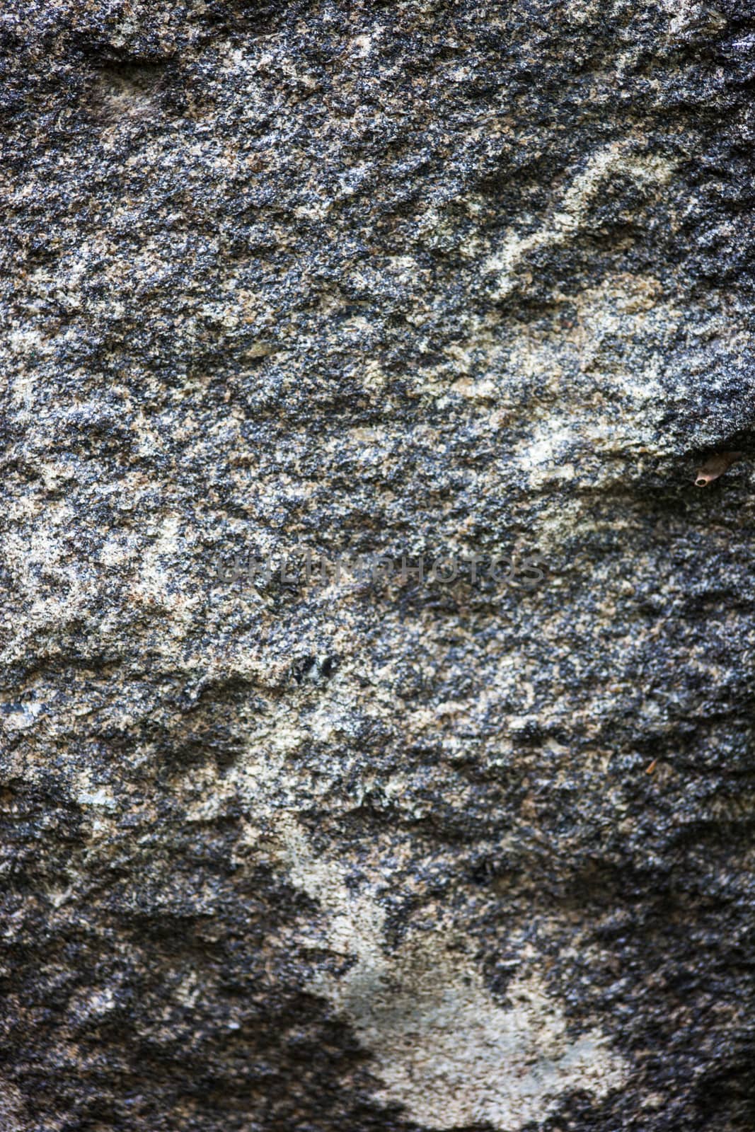 Granite surface with rich and various texture.