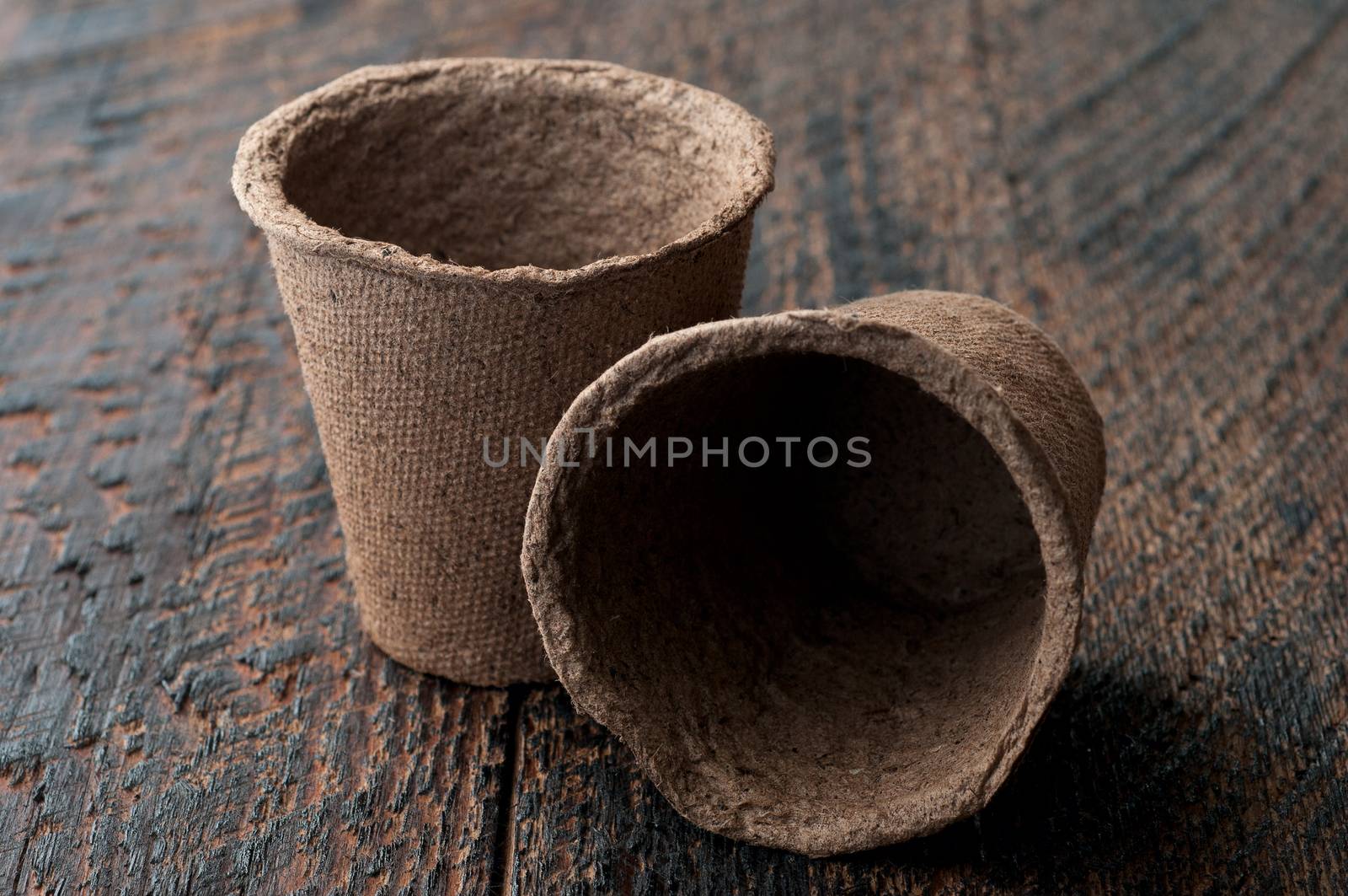 Two Peat Pots on is  wooden background