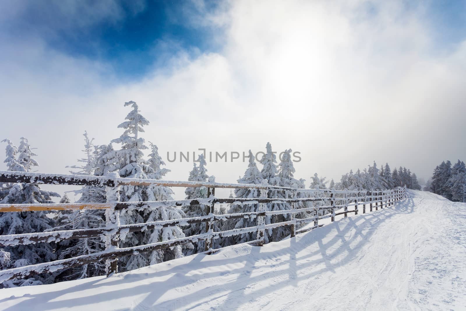 Winter trees and wooden fence covered in snow that borders a mountain road on winter season in Poiana Brasov, Romania