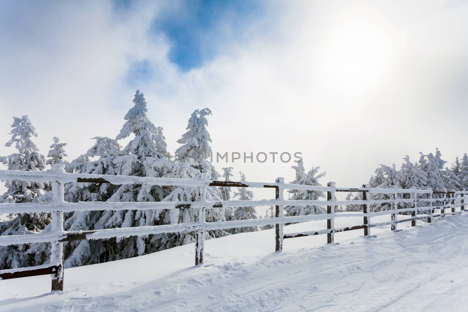 Winter trees and wooden fence covered in snow that borders a mountain road on winter season in Poiana Brasov, Romania