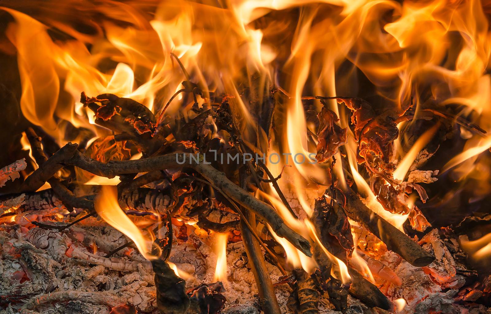 Closeup of firewood Burning fire in fireplace, horizontal shot