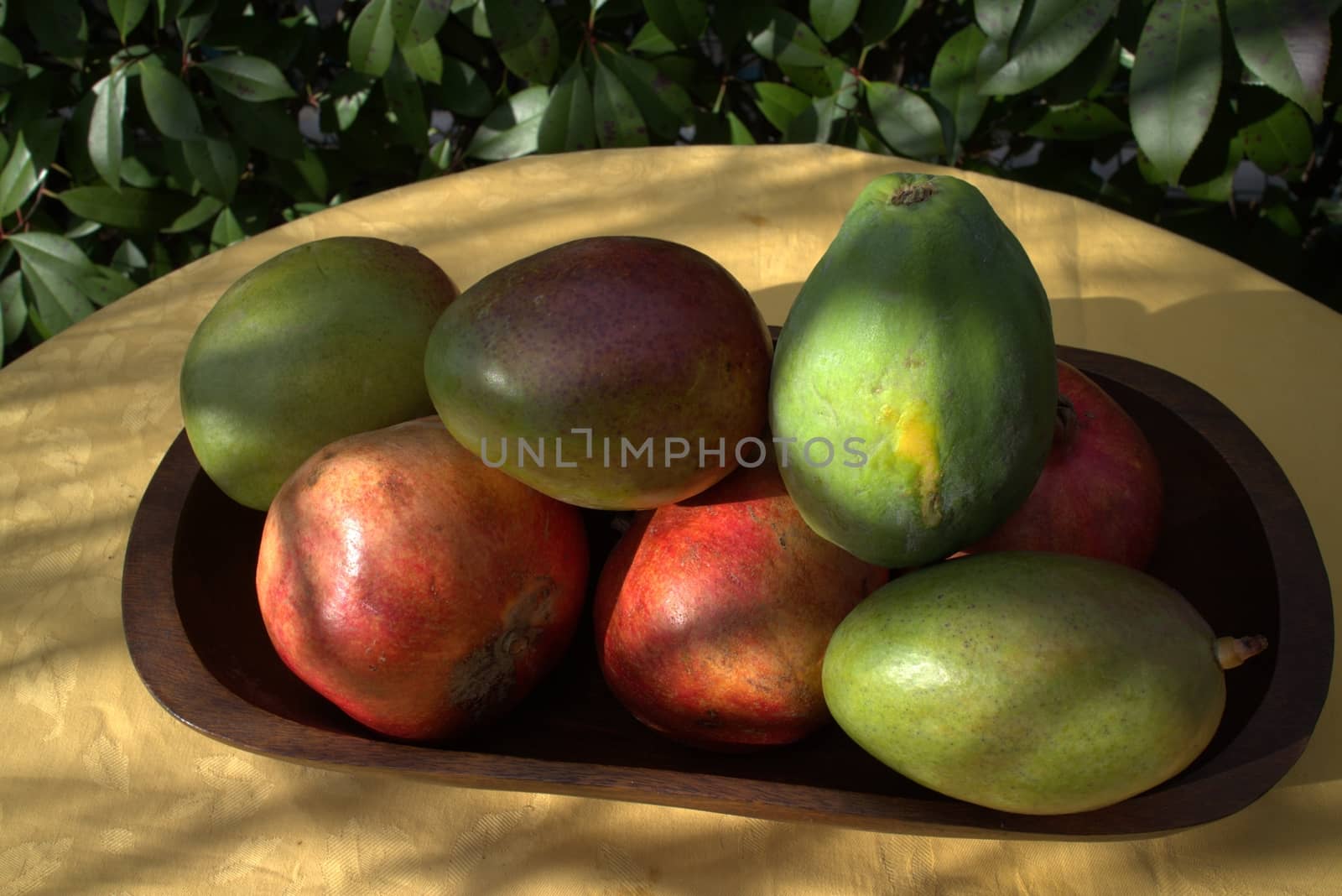 Exotic fruits ready for use in a garden