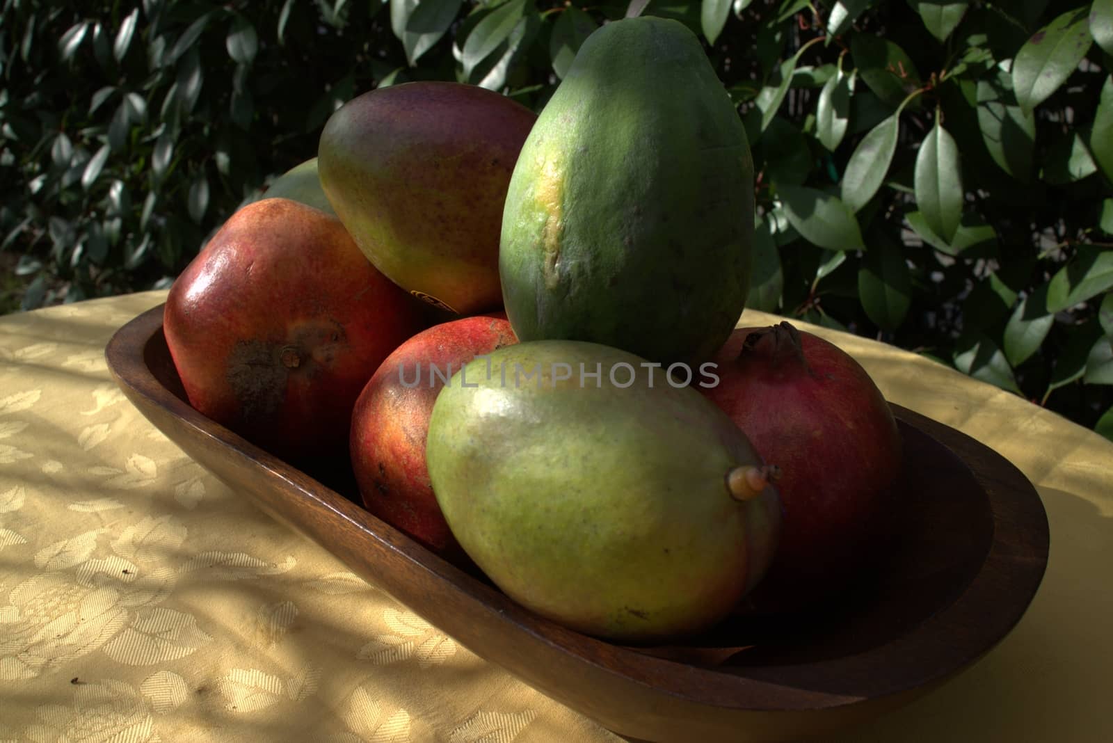 Exotic fruits ready for use in a garden