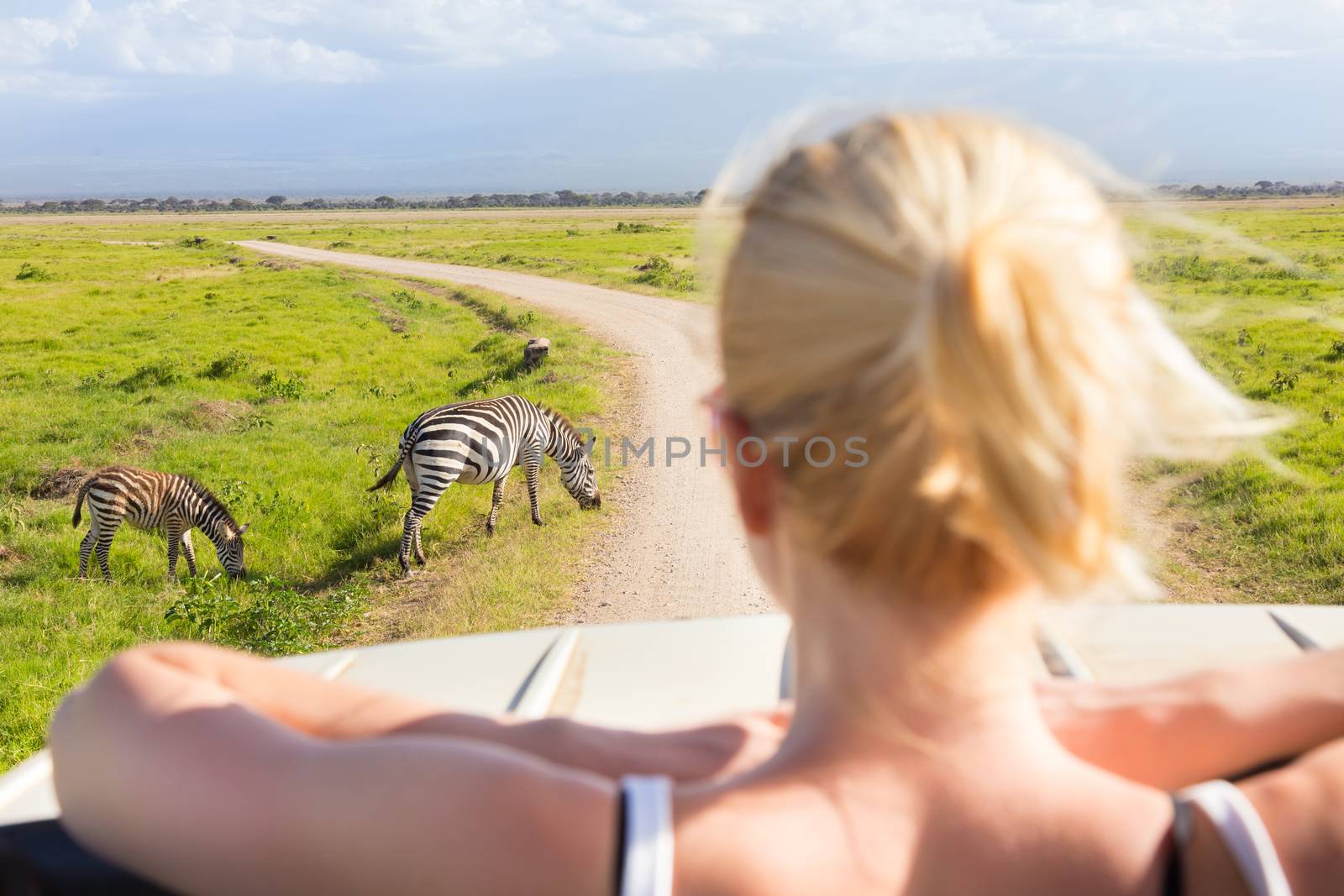 Woman on african wildlife safari. by kasto