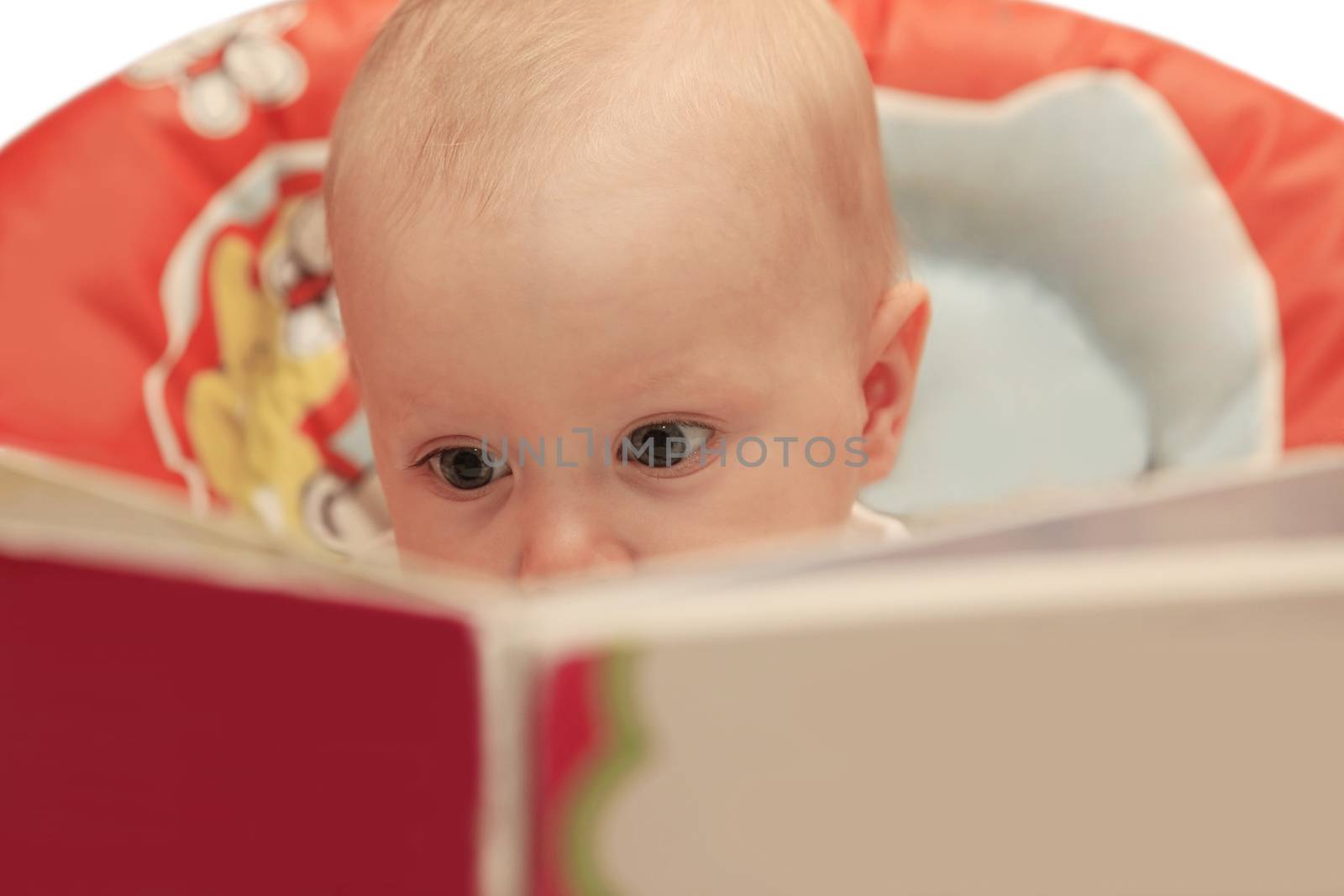 Little girl is carefully studying the book