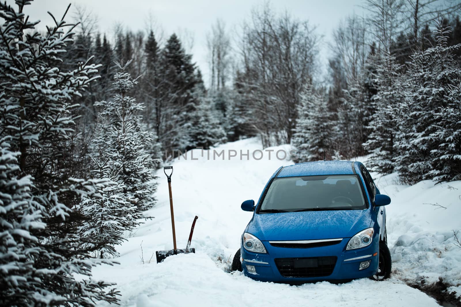 Car Stuck in the Snow on a Forest Road. by aetb