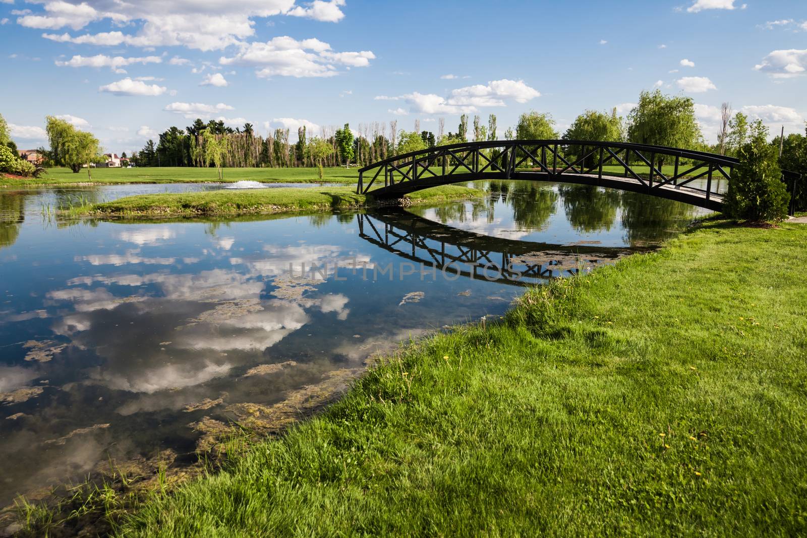 Little Bridge Over a Pond by aetb