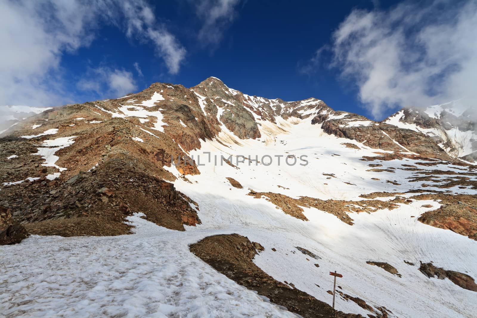 summer view of Tavela peak in Stelvio National park, Trentino, Italy.