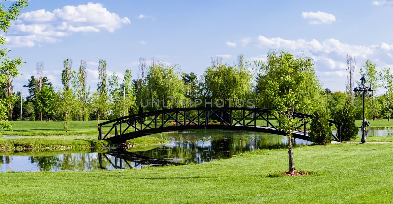 Little Bridge Over a Pond by aetb