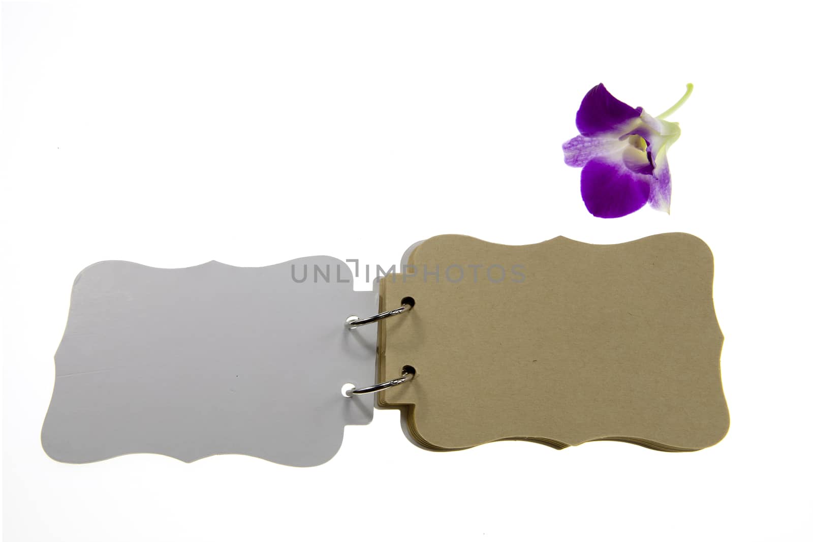 Note book and orchid on isolated white background
