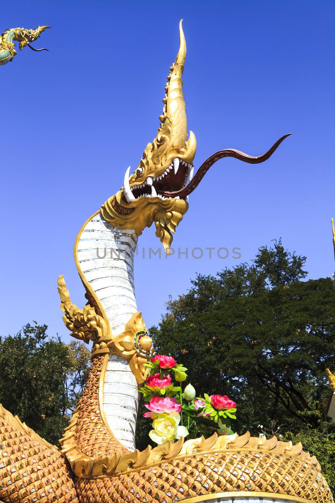 Naga Buddha Guardian by Chattranusorn09