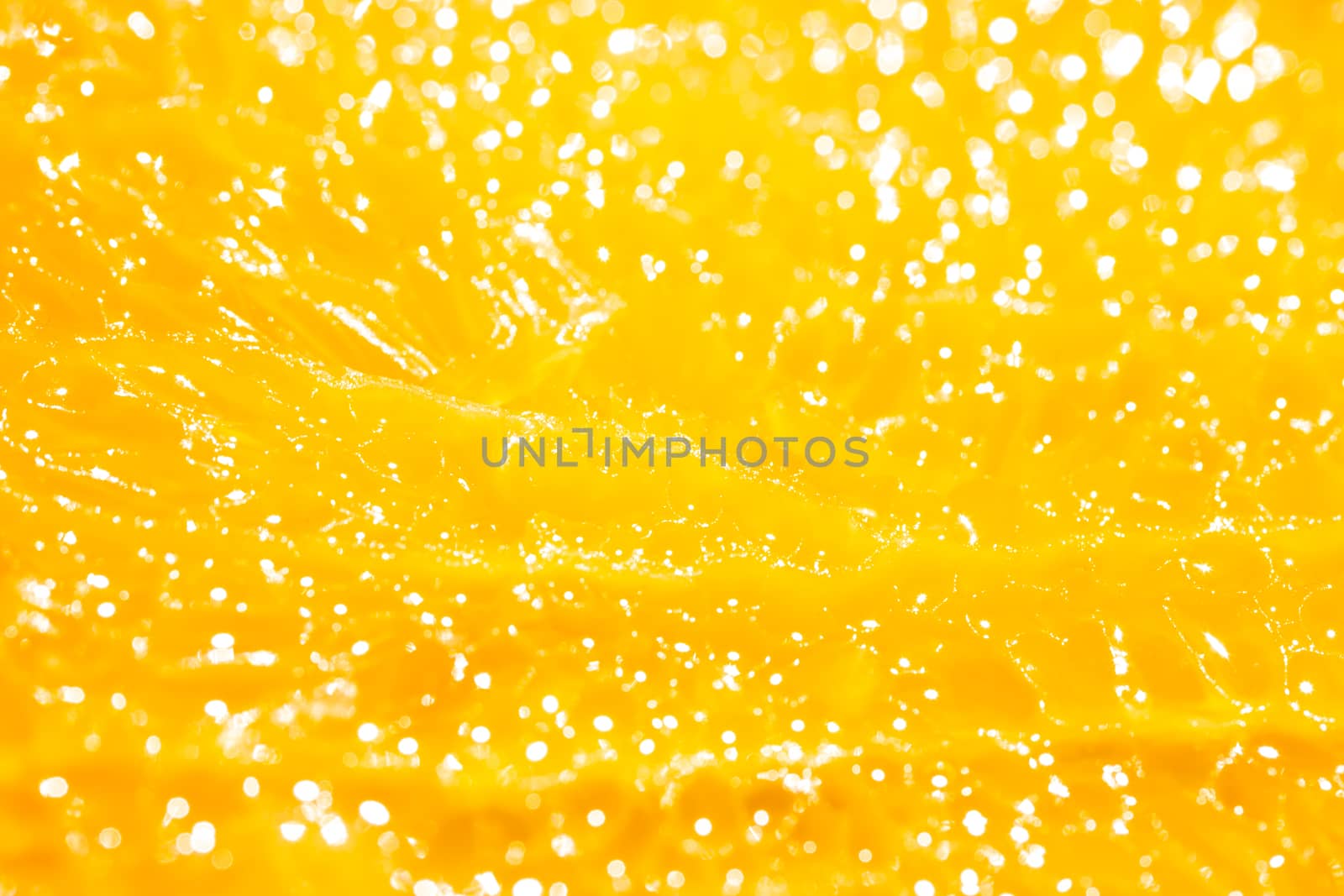 The shiny orange by Chattranusorn09