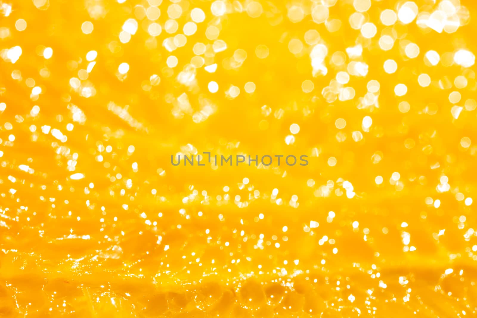 Close-up orange on sunlight by Chattranusorn09