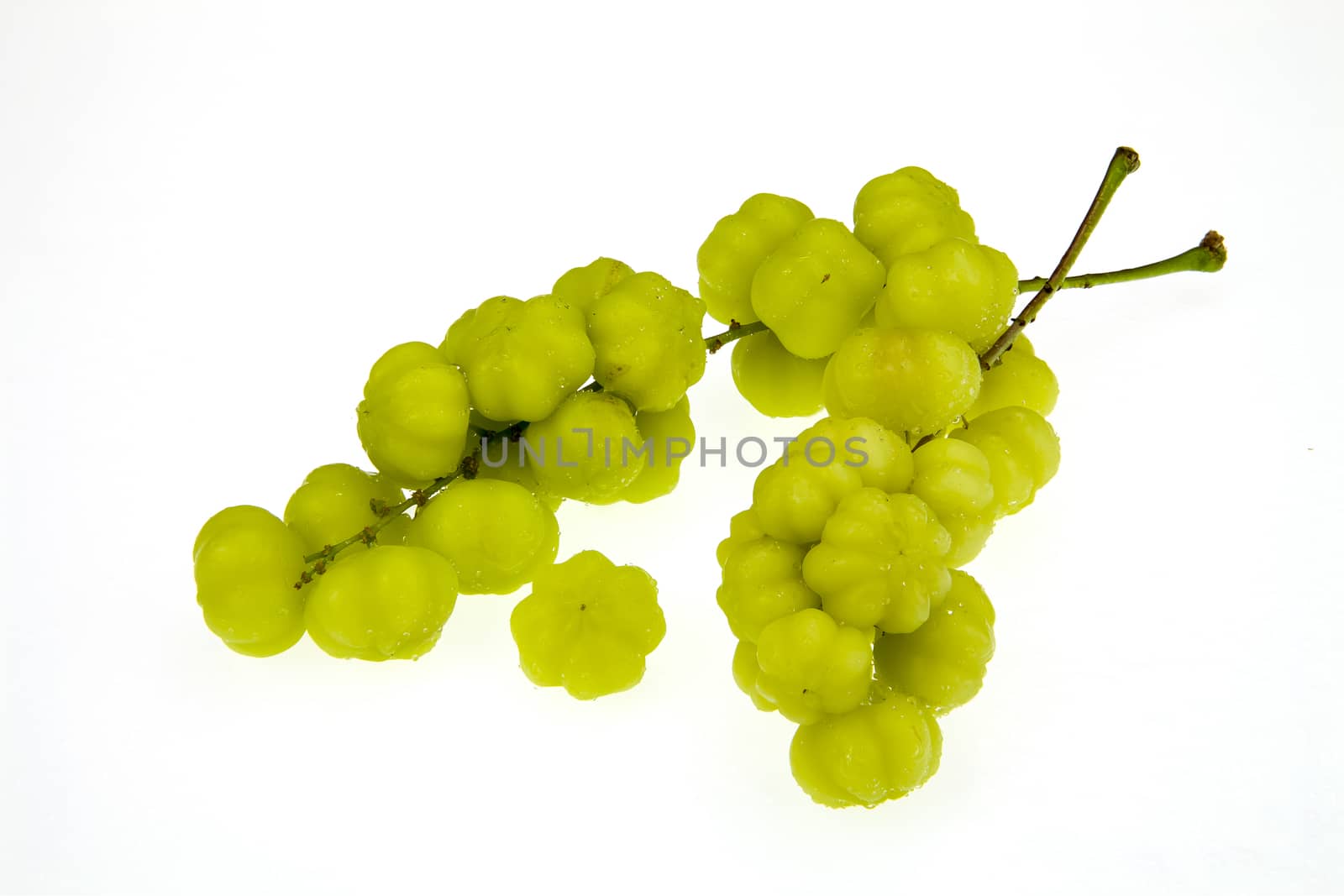 Star gooseberry isolated on white background by Chattranusorn09