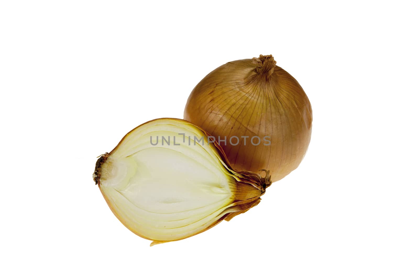 Fresh onion bulbs isolated on white background