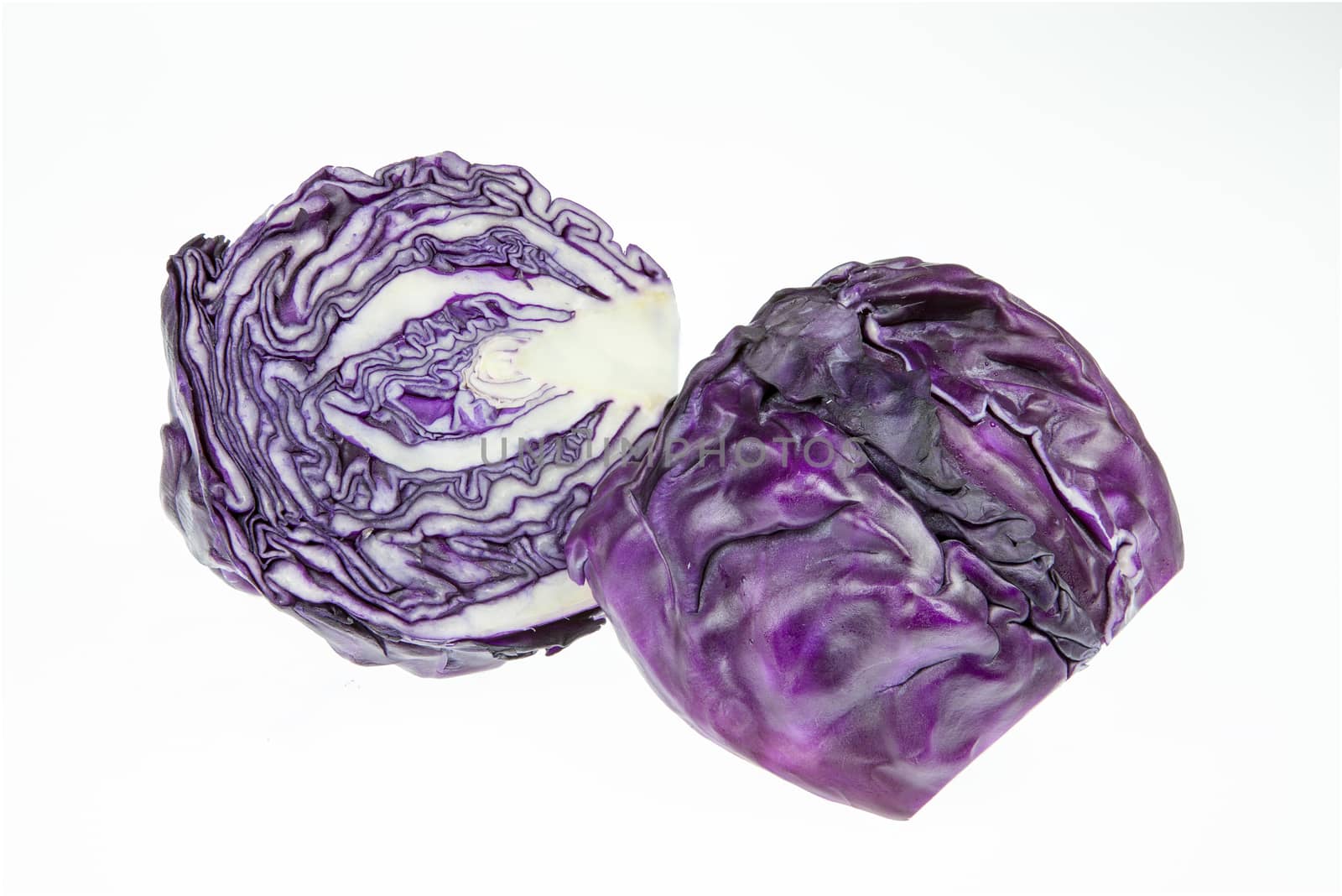 Red cabbage violet cabbage isolated on white background
