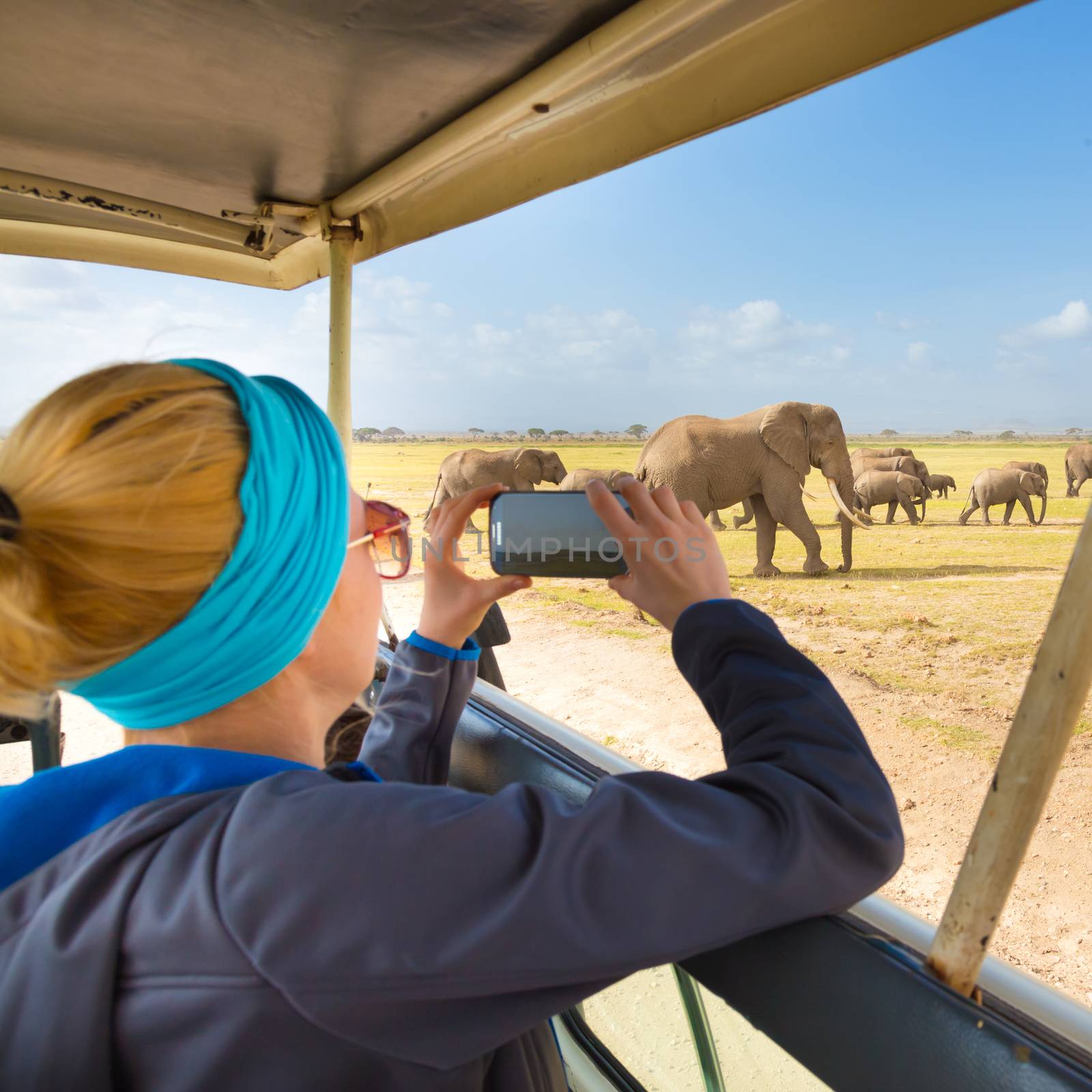 Woman on african wildlife safari. by kasto