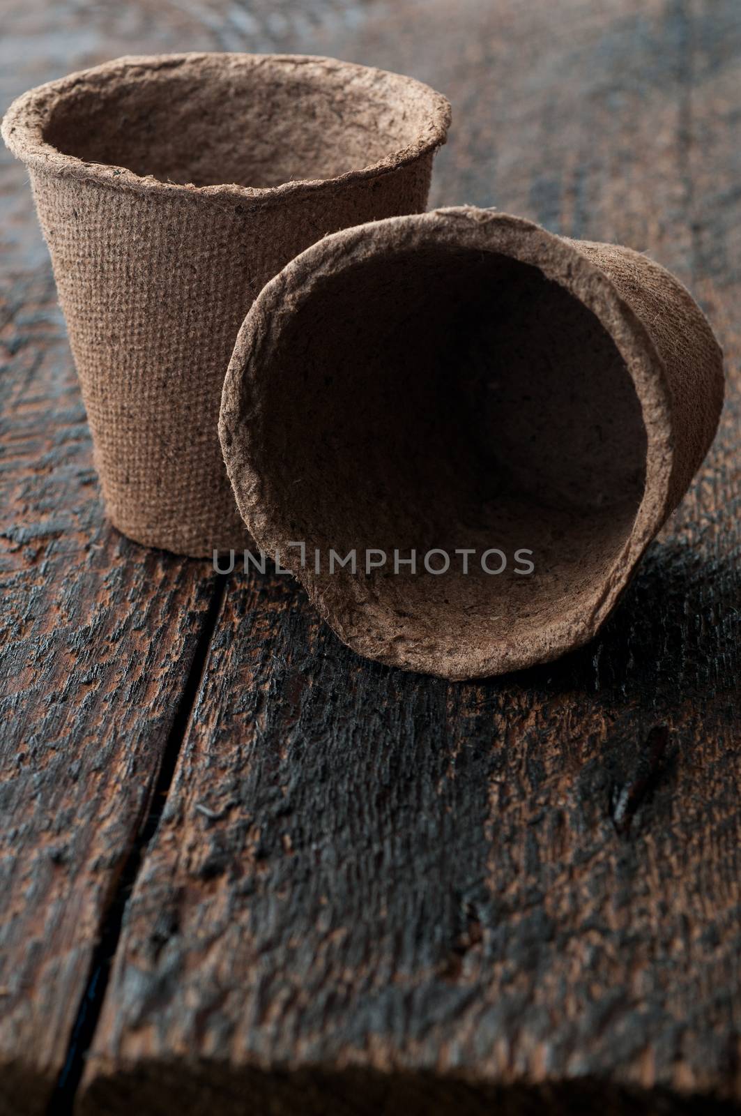 Two Peat Pots on is  wooden background