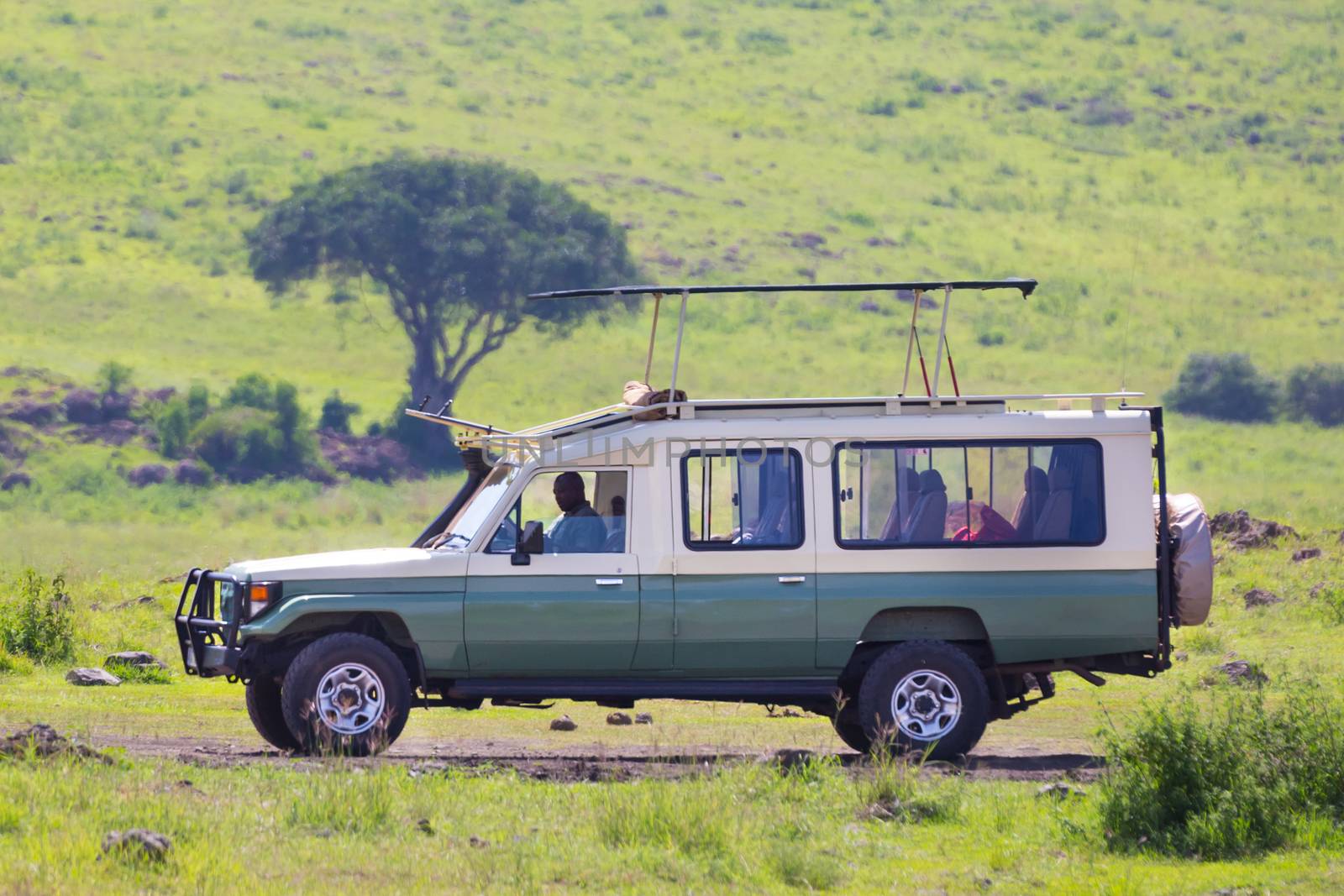 Open roof 4x4  safari jeep on african wildlife safari. 