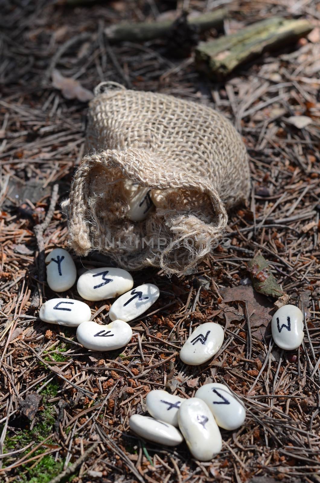 runes stones by sarkao