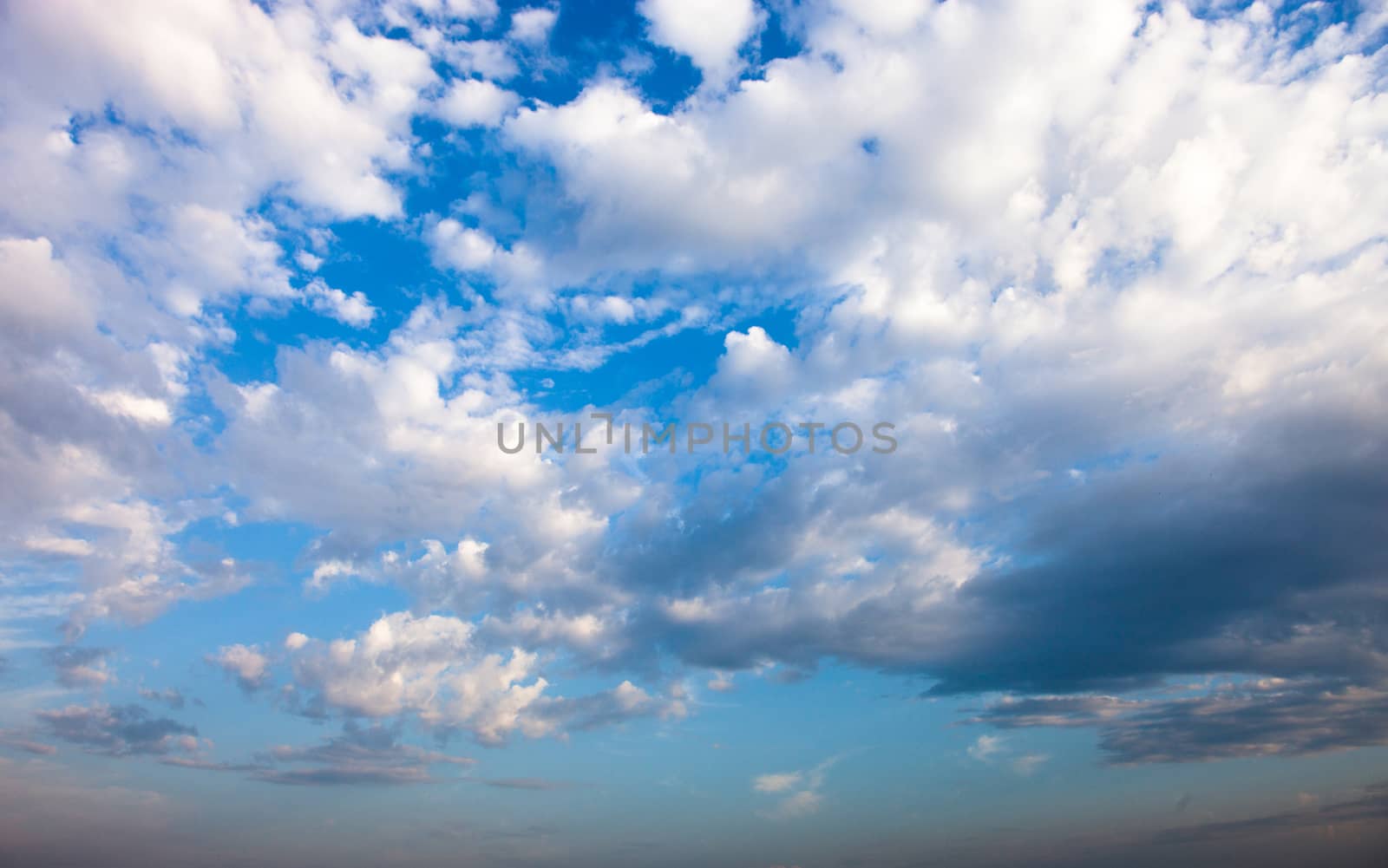 Blue sky with white clouds by rootstocks