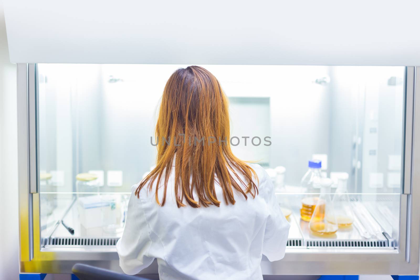 Life scientist researching in laboratory. Life sciences study living organisms on the level of microorganisms, viruses, human, animal and plant cells, genes, DNA...