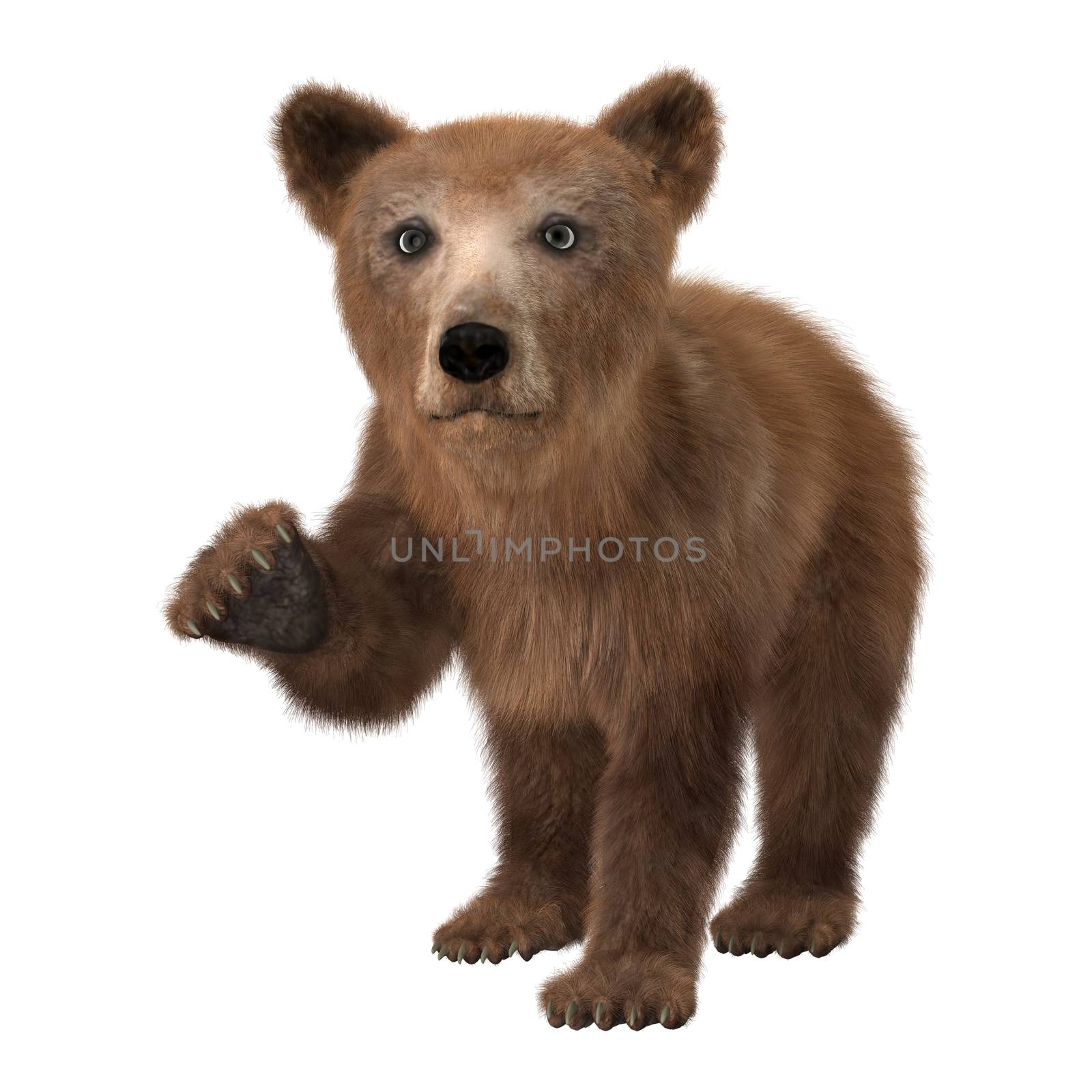 3D digital render of a cute little brown bear isolated on white background