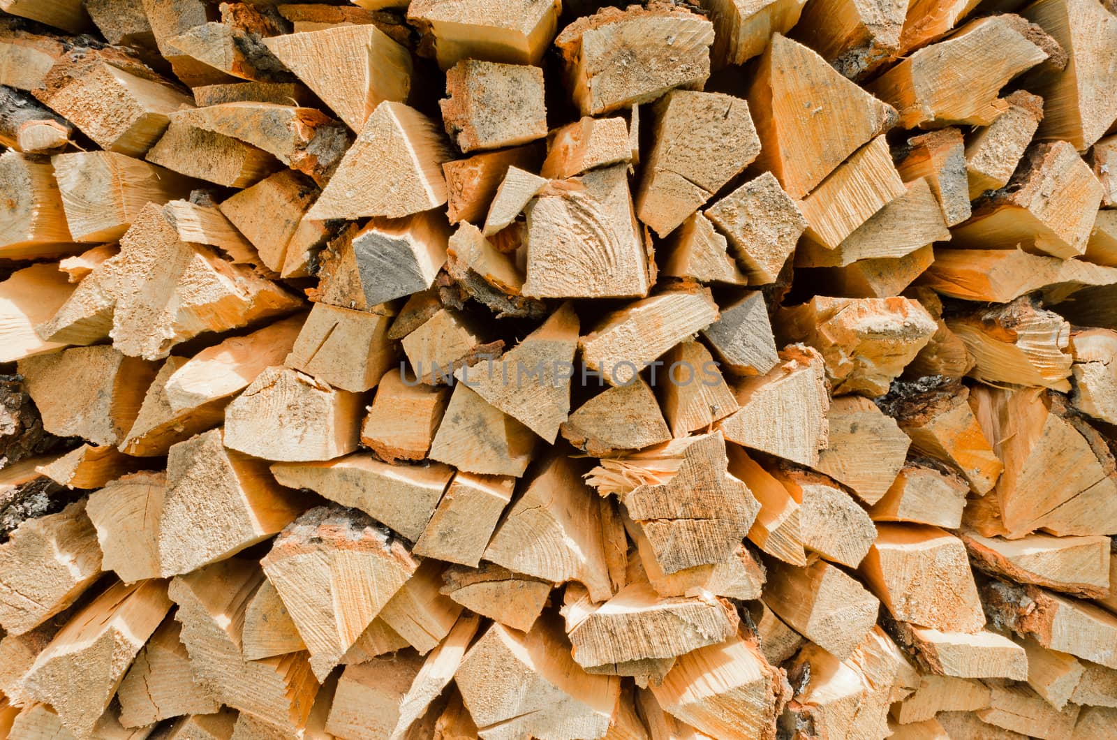 A store of firewood for using in winter time