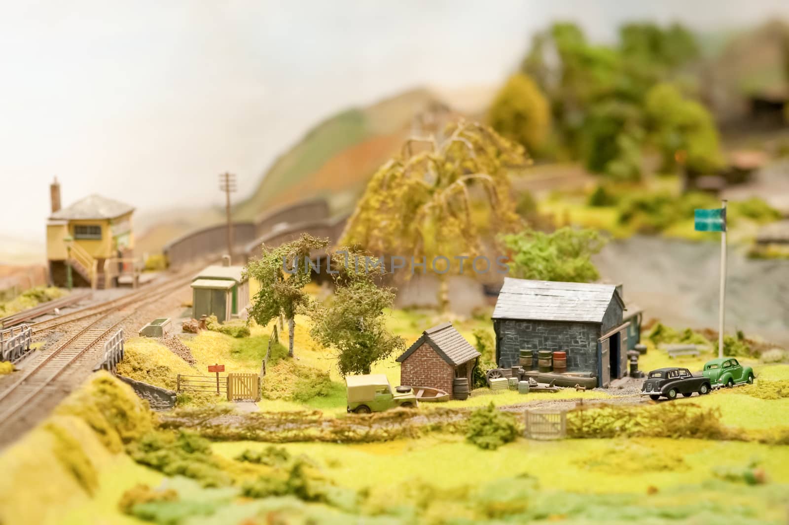 miniature landscape by nelsonart