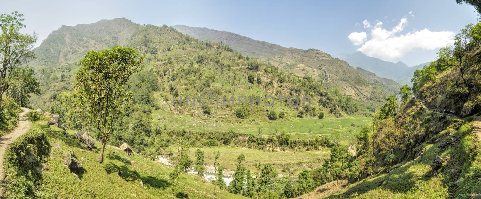 Scenic panorama of green valley in Nepal on Kanchenjunga trek