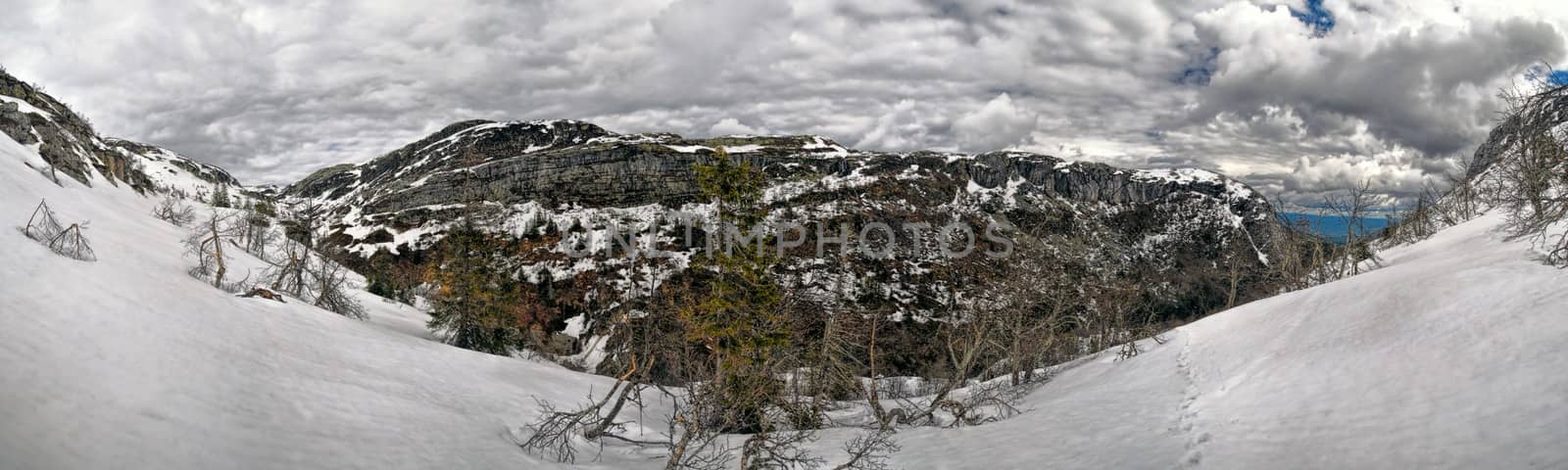 Scenic panorama of landscape in Norway