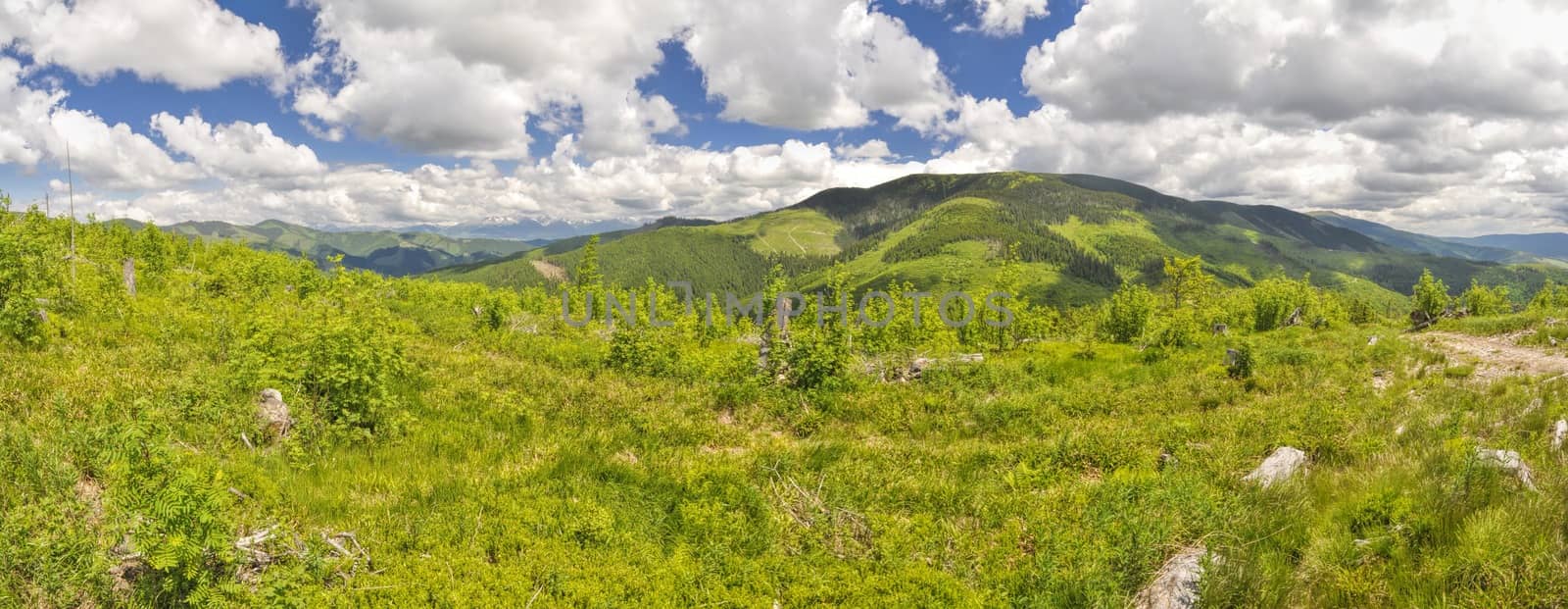 Scenic panorama of Nizke Tatry mountains in Slovakia