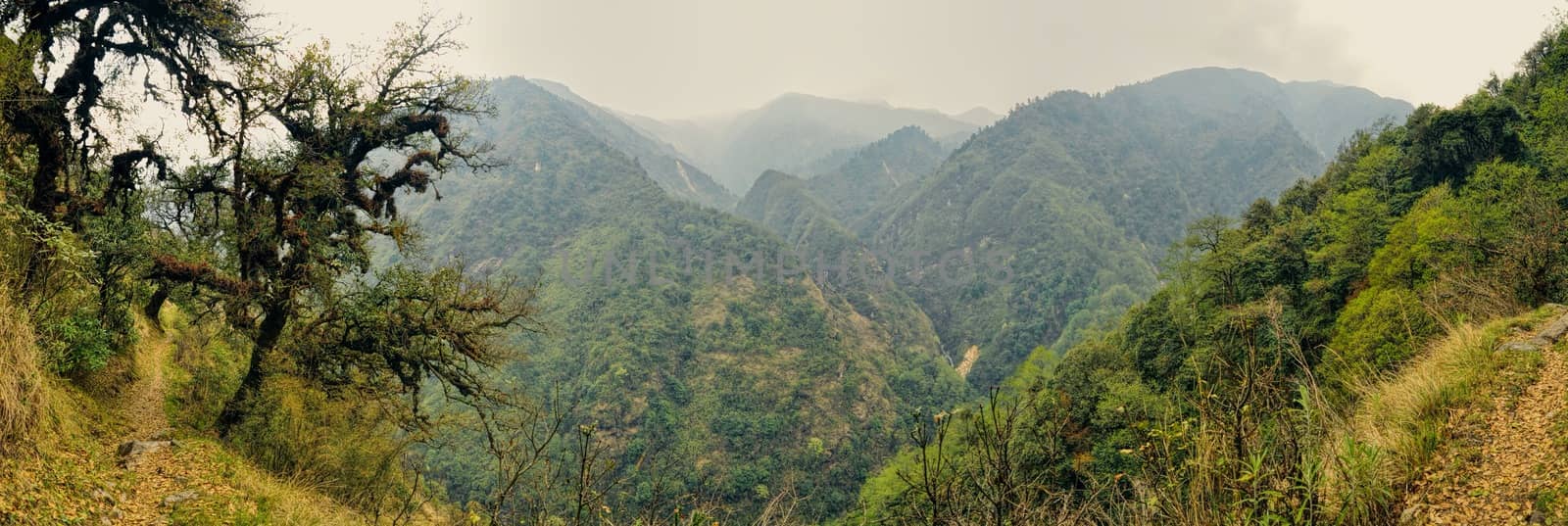 Scenic panorama of deep green valley in Nepal on Kanchenjunga trek