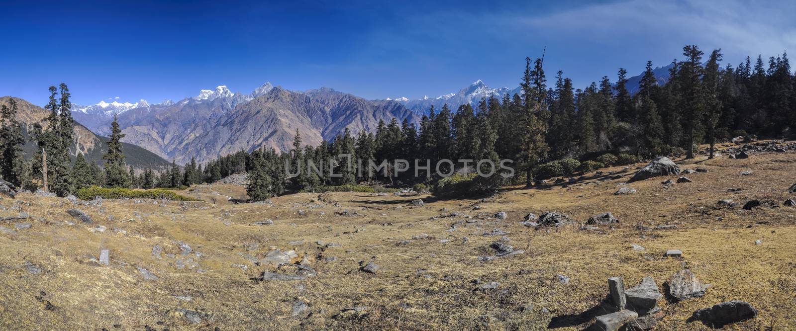 Scenic panorama of Kuari Pass in Himalayas, India