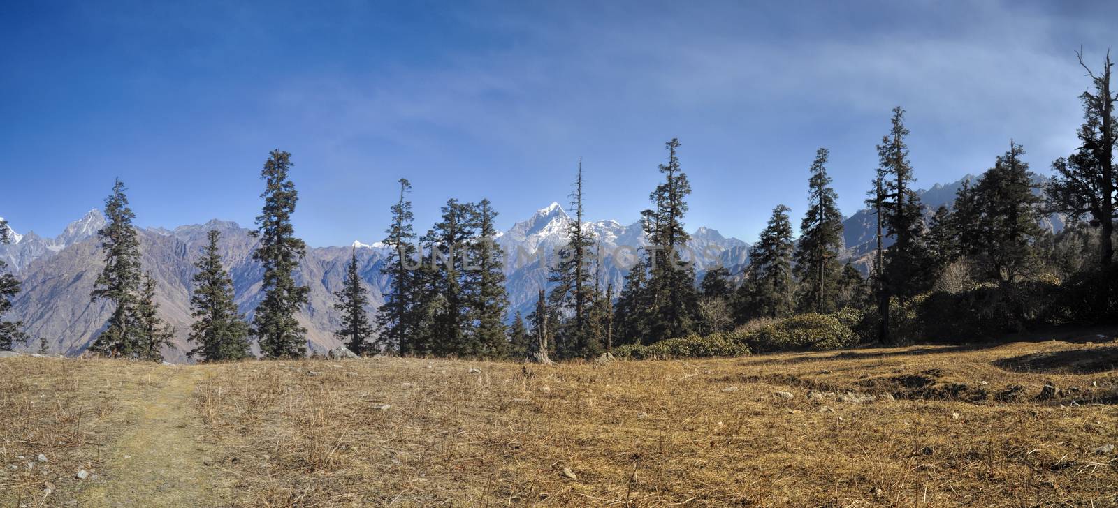 Scenic panorama of Kuari Pass in Himalayas, India