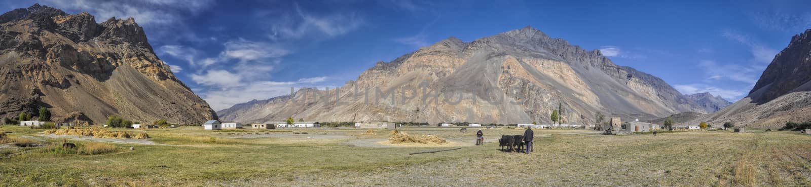 Scenic panorama of remote village with grain fields in Tajikistan on sunny day