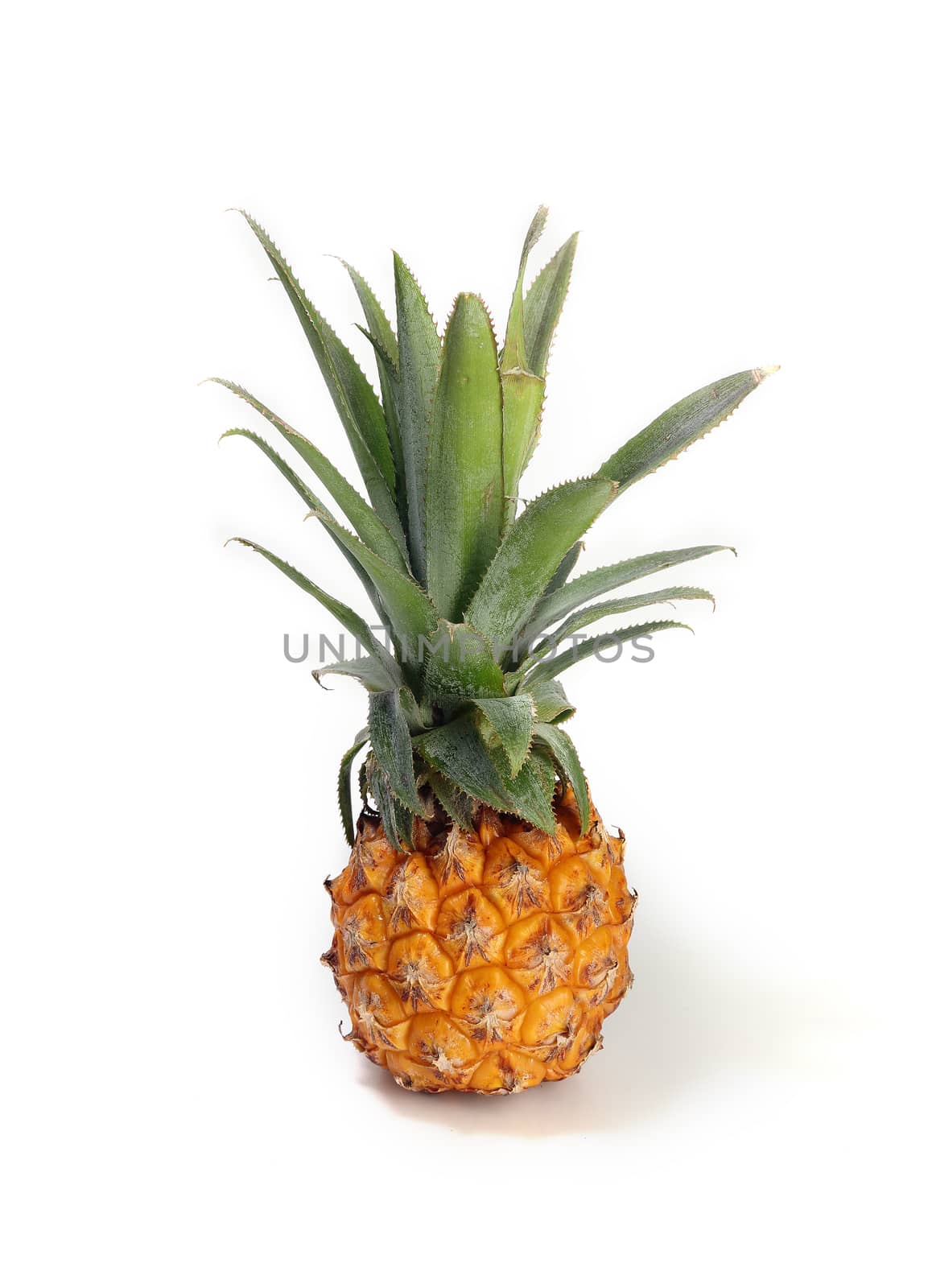 pineapple isolated