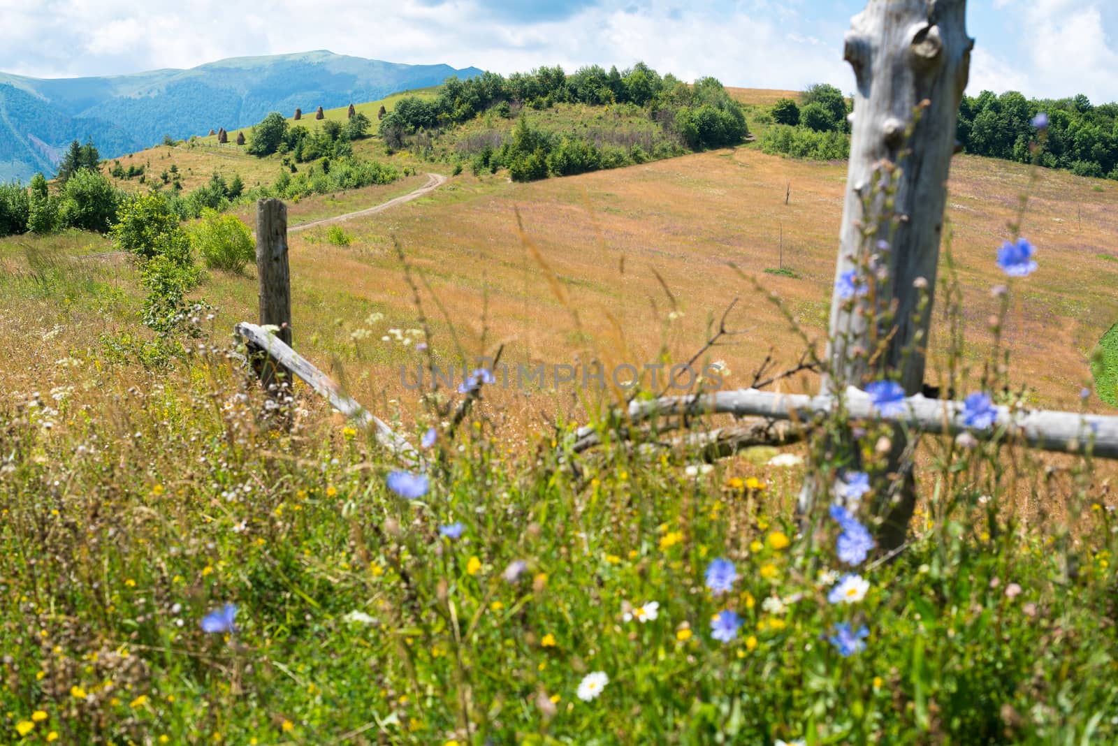 Wooden fence against the landscape in the Ukrainian Carpathians by rootstocks