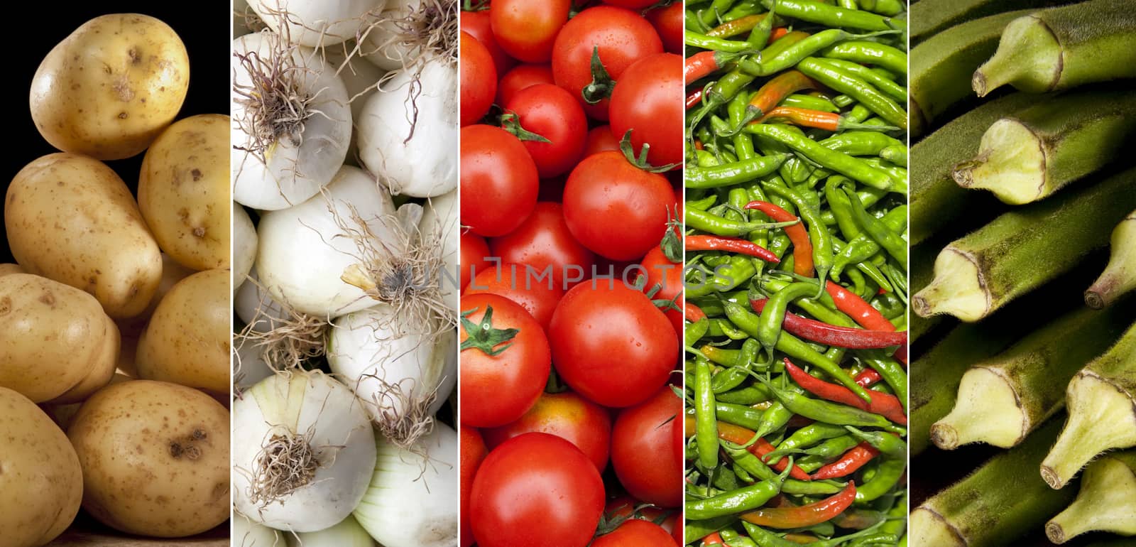 A selection of fresh vegetables - cooking ingredients 