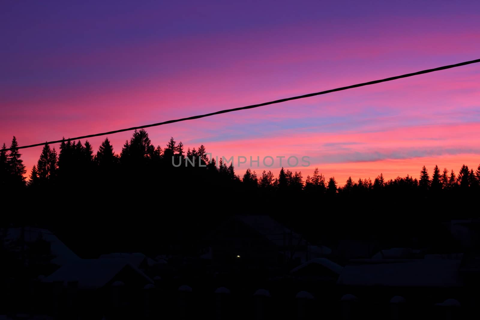 beautiful sunset over the spruce forest in Russia