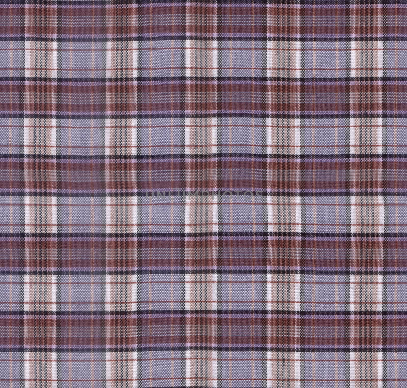 Plaid Fabric Texture by selensergen