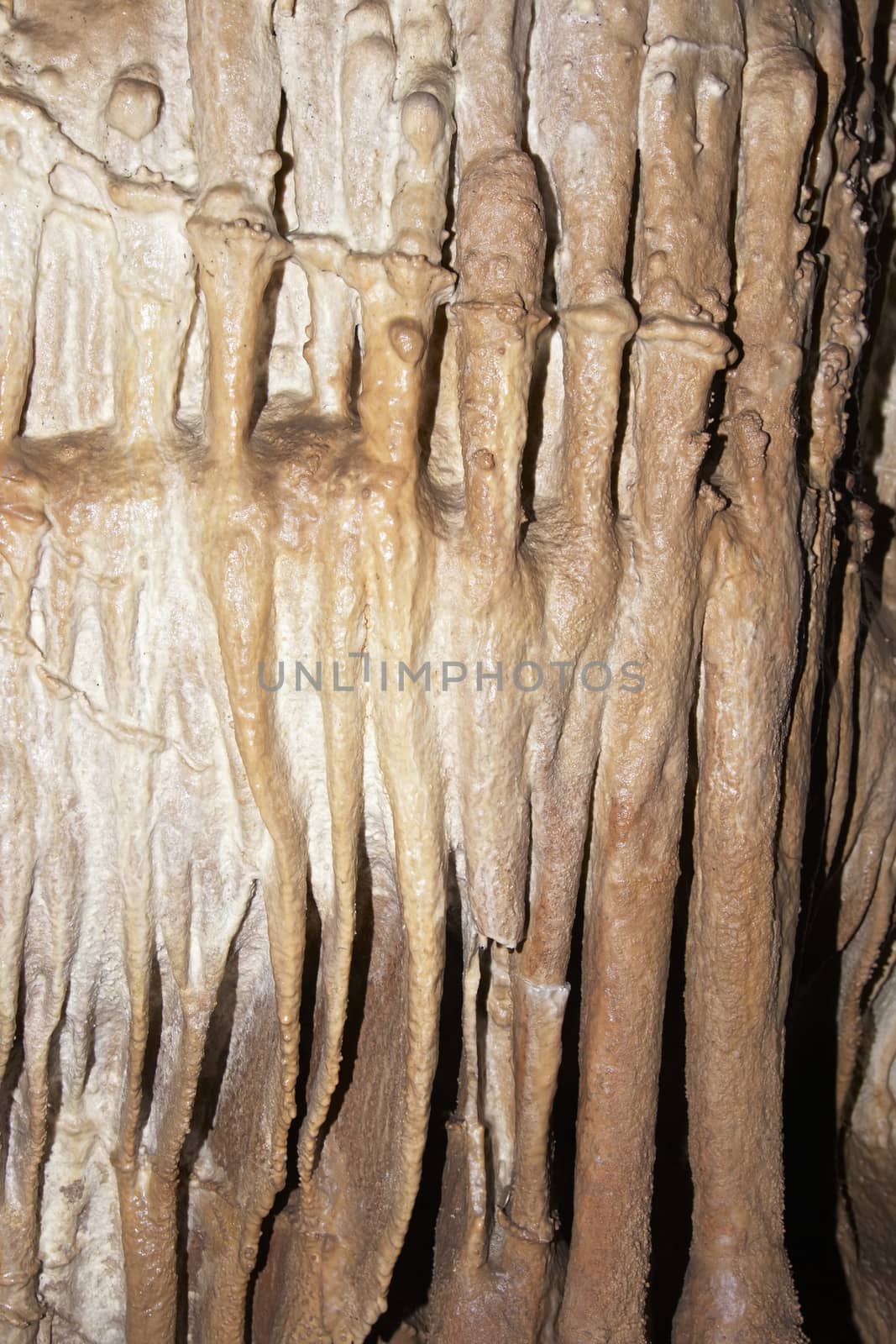 Javoricko stalactite caves are located in central Moravia, about 10 miles west of Litovle city. Underground cave system Javorice a complex of corridors, domes and divides. Cave excel beautiful stalactite formations. The underground system of caves Javoricko consists of a complex of corridors, halls and gorges. They were created in the Isle of Devonian limestone and participated in their development stream Spranek. A substantial part of the cave was discovered in 1938. Javoricko, Moravia, Czech republic